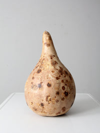 large vintage dried gourd
