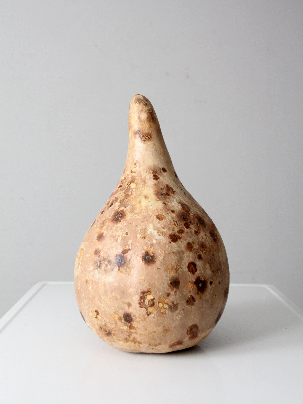 large vintage dried gourd
