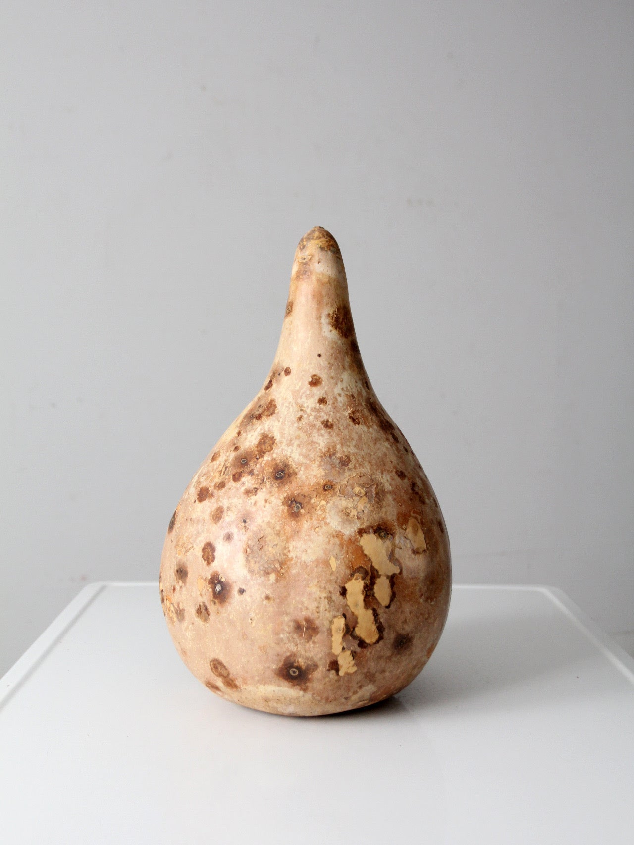 large vintage dried gourd