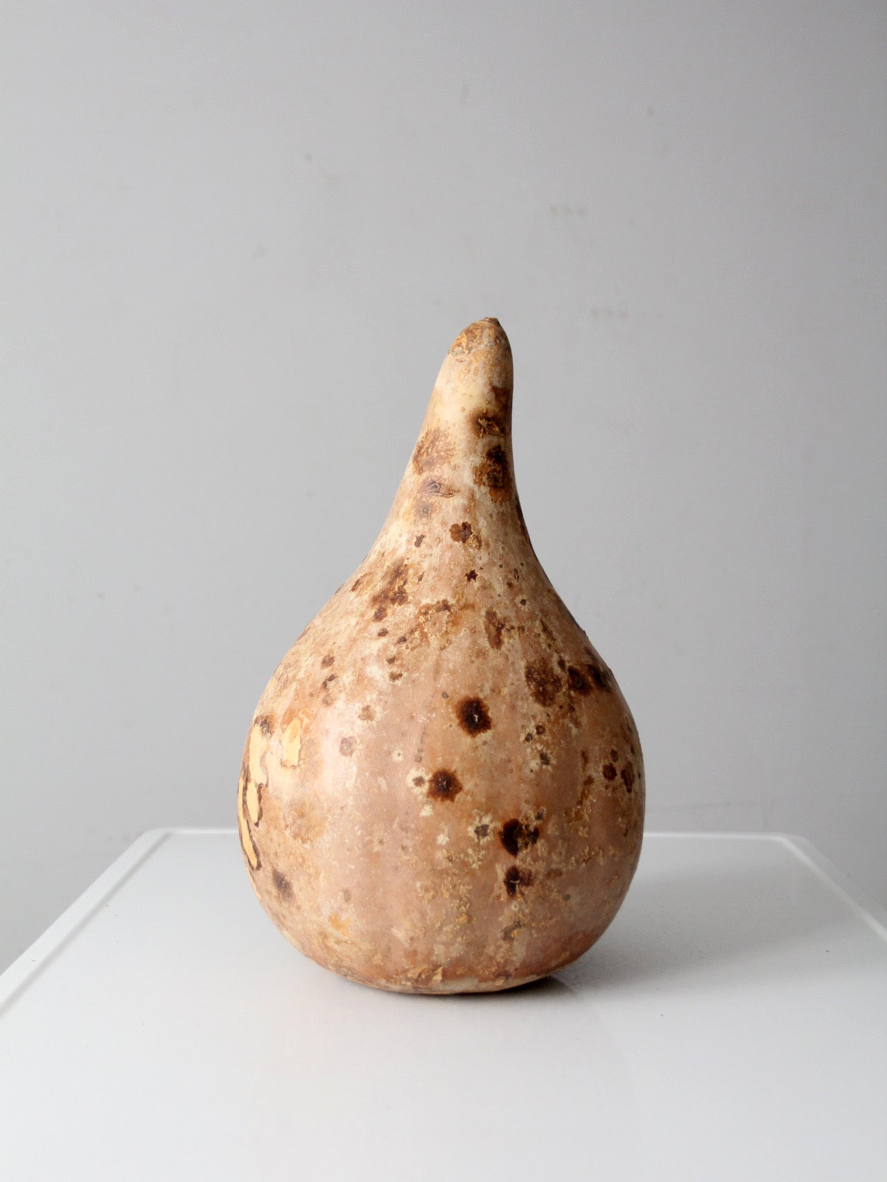 large vintage dried gourd
