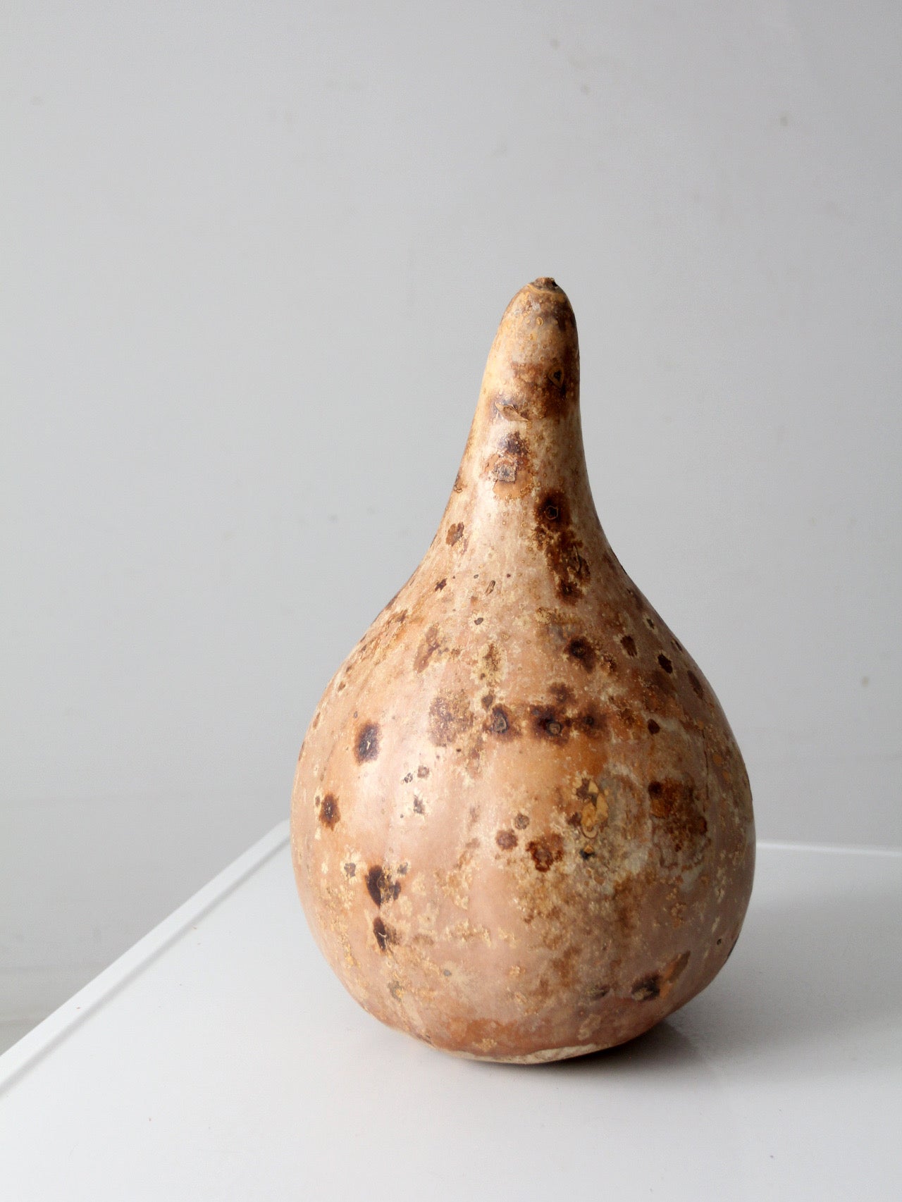 large vintage dried gourd