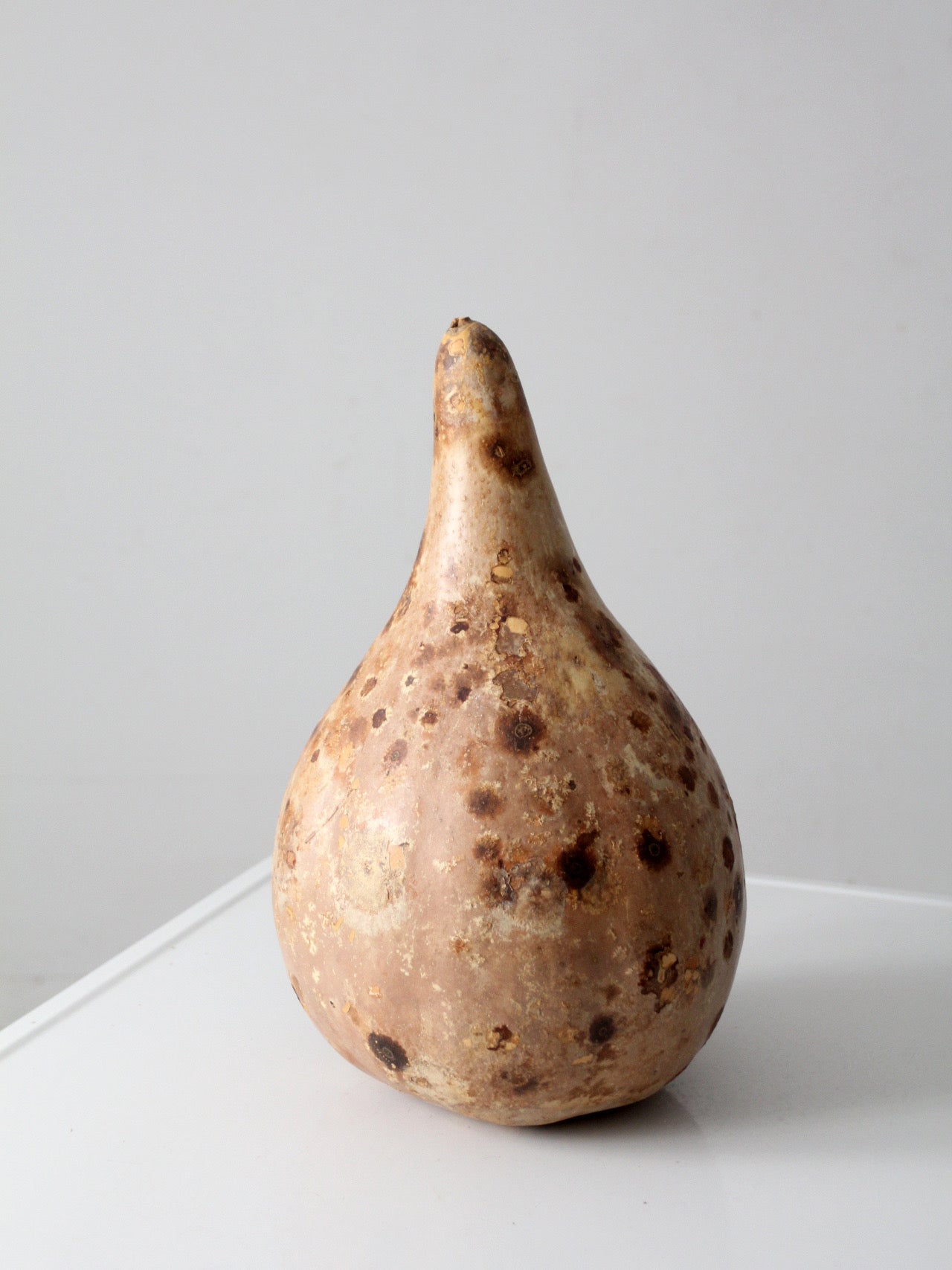 large vintage dried gourd