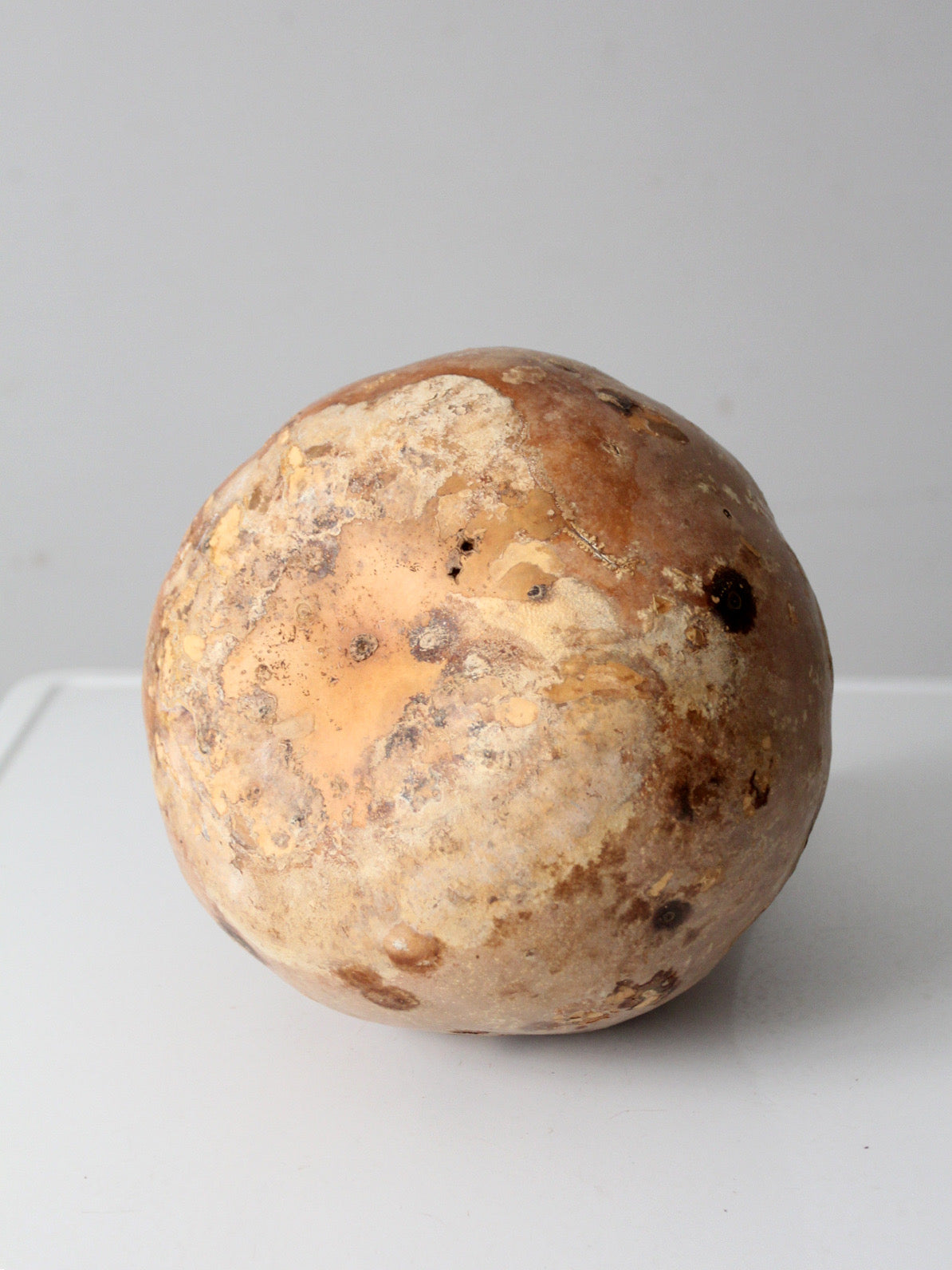 large vintage dried gourd
