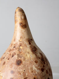 large vintage dried gourd