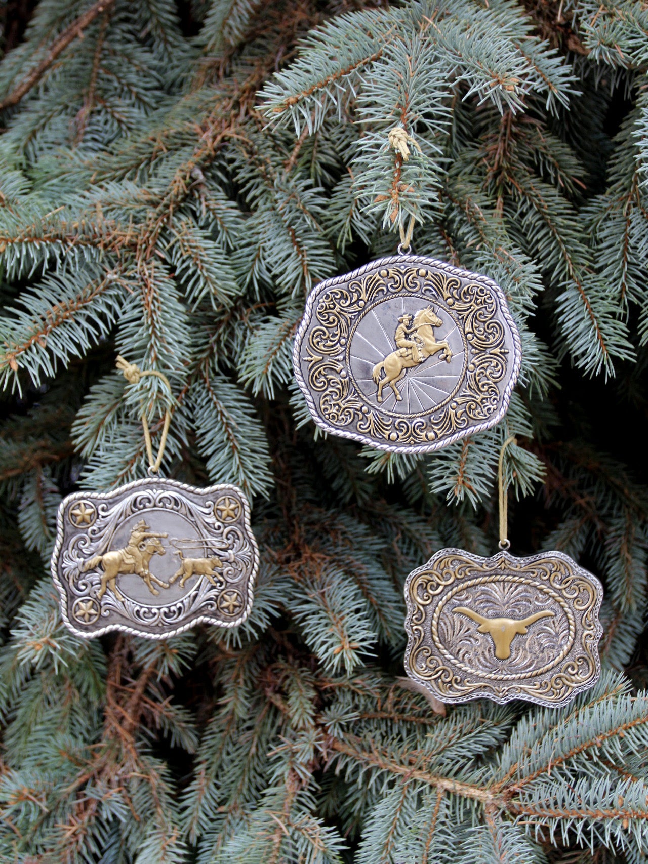 vintage western belt buckle ornament set