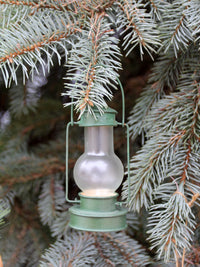 vintage lodge cabin Christmas ornaments