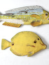 vintage carved fish wall art collection