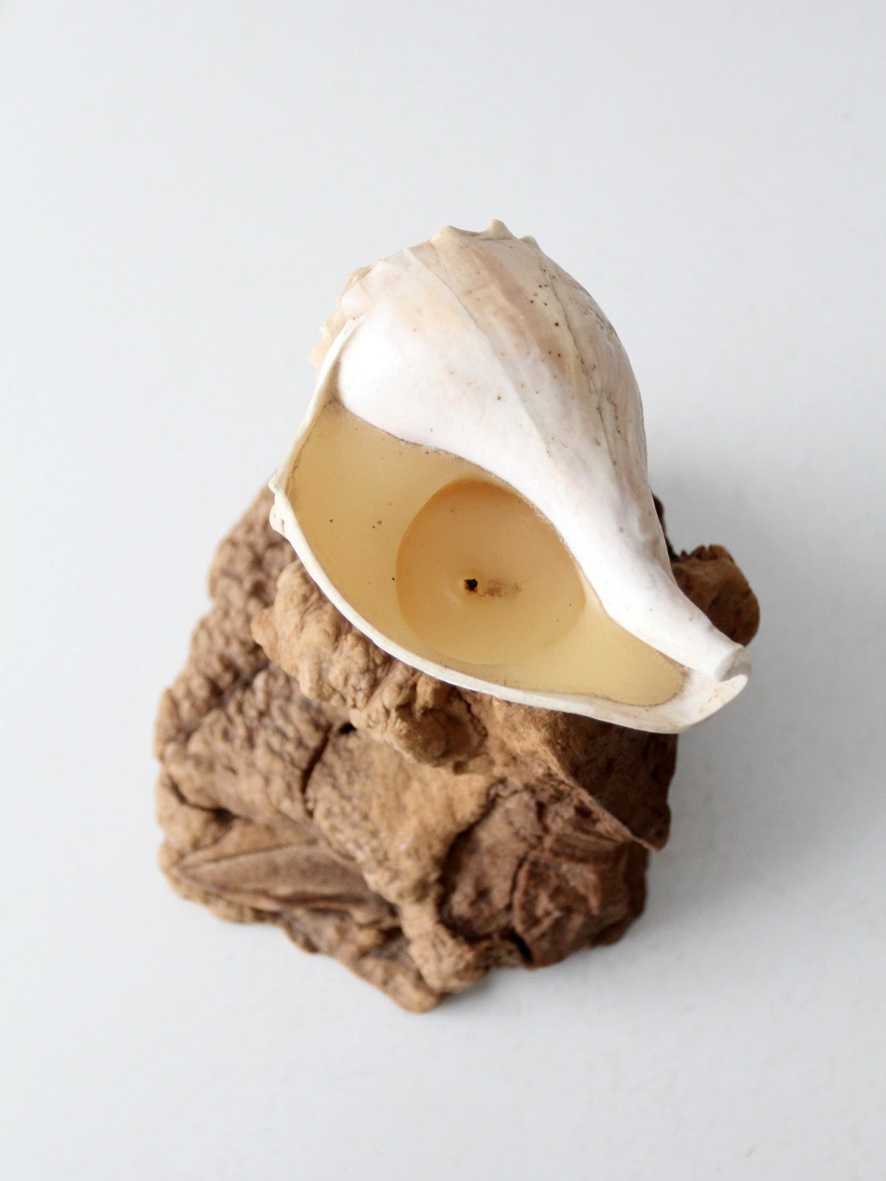 mid-century burl wood shell candle sculpture