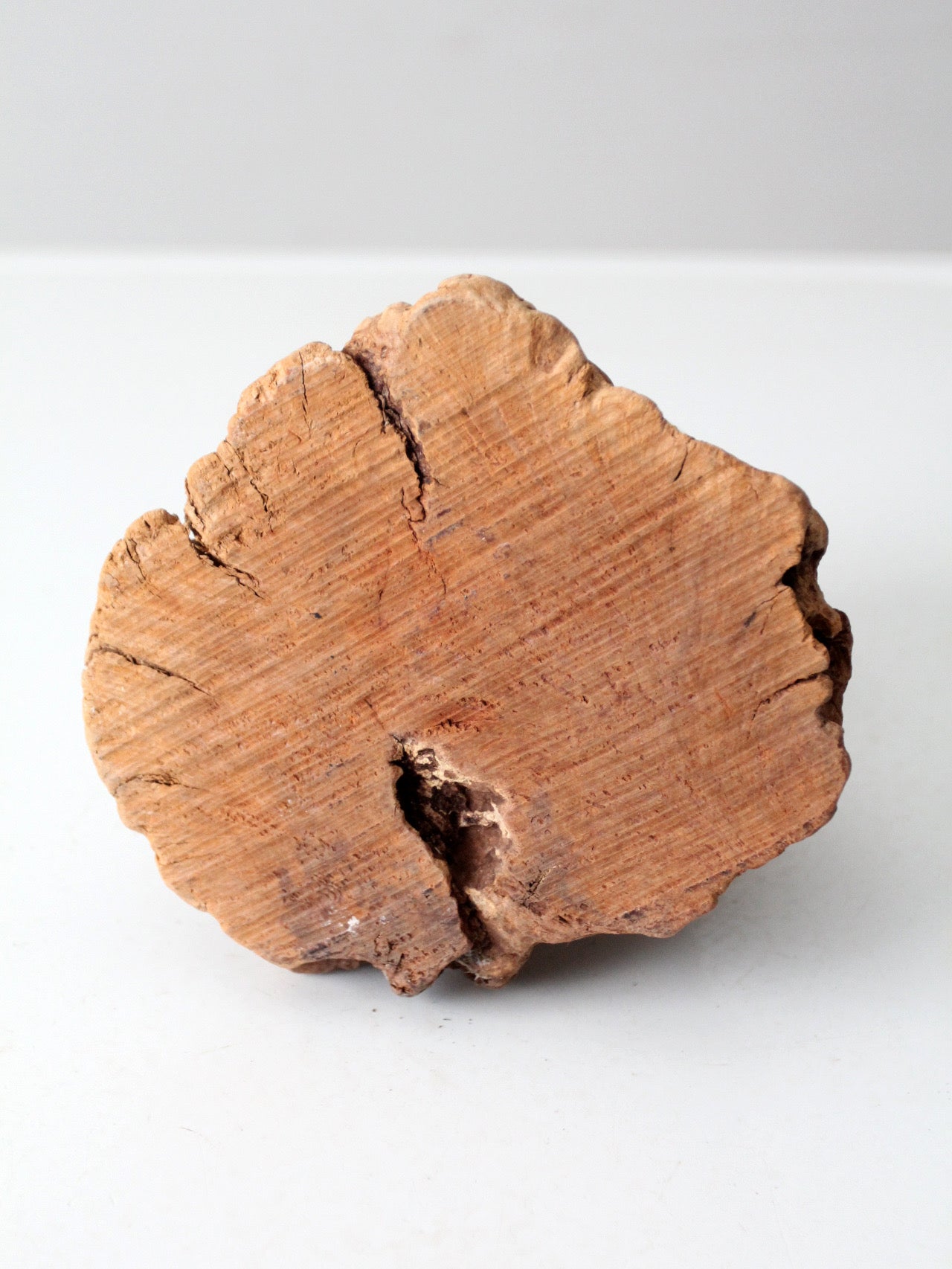 mid-century burl wood shell candle sculpture