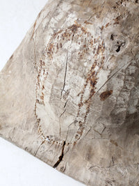 monumental 19th century American dough bowl