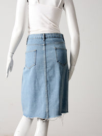 vintage Heritage Falmer button front denim skirt