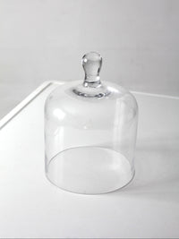 vintage glass cloche