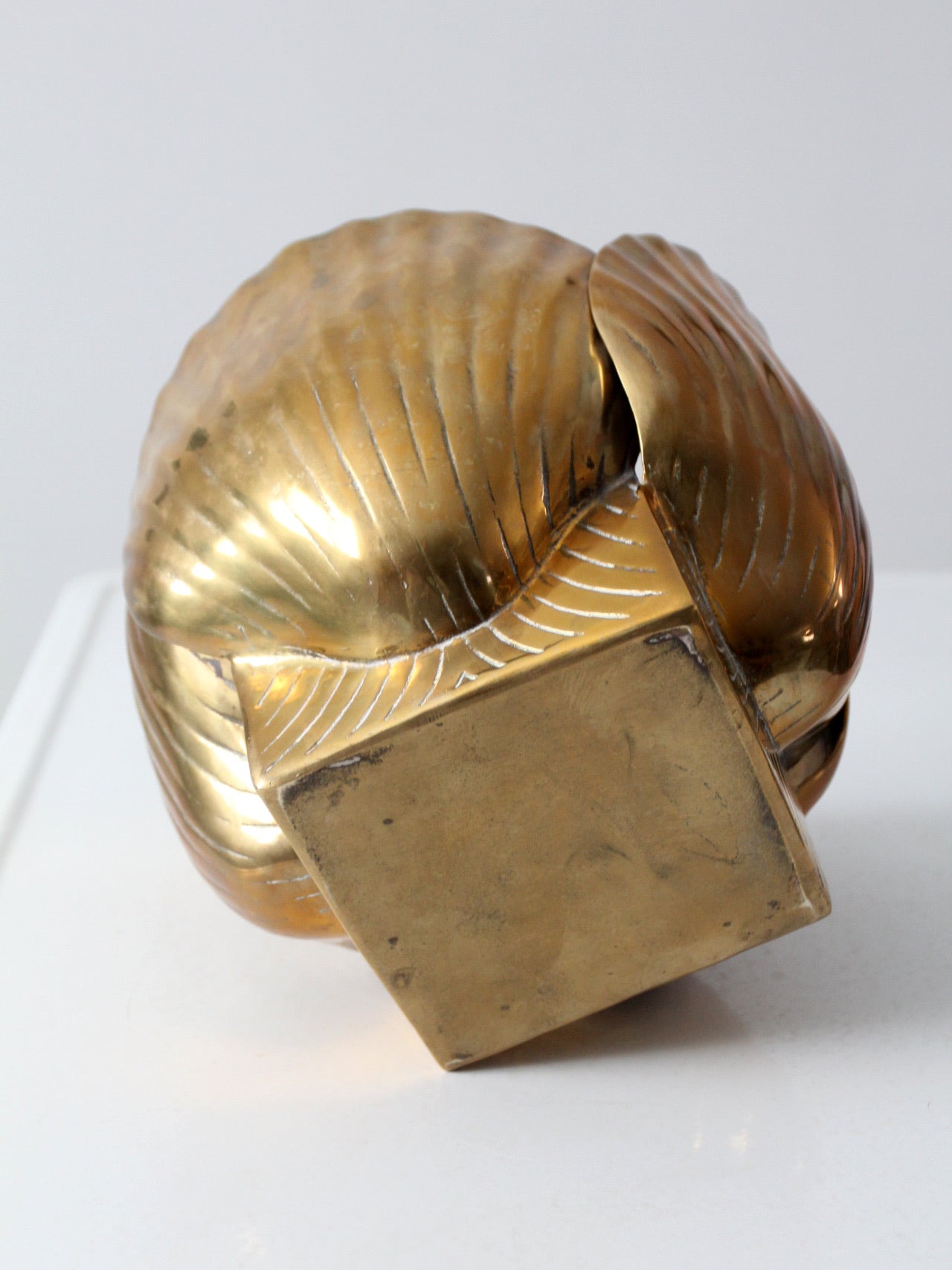 Brass Nautilus Shell, Gold Brass Shell, Interior Design, Shell Planter -   Hong Kong
