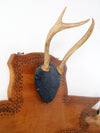 1950s deer antlers and hoof mount