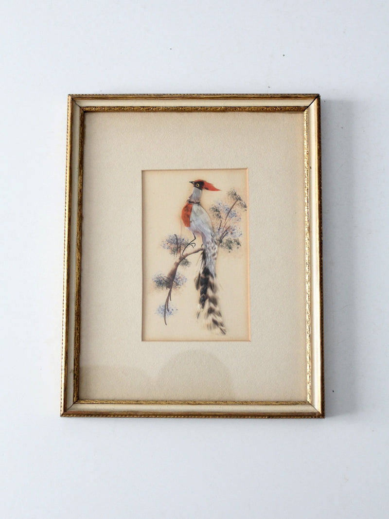 mid-century bird feather art collection