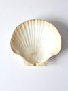 vintage large scallop sea shell