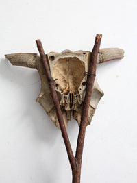 vintage western folk art painted skull