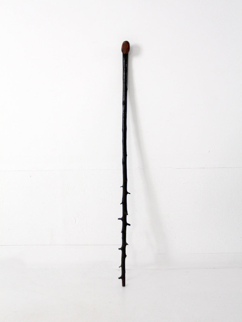 antique Adirondack walking stick