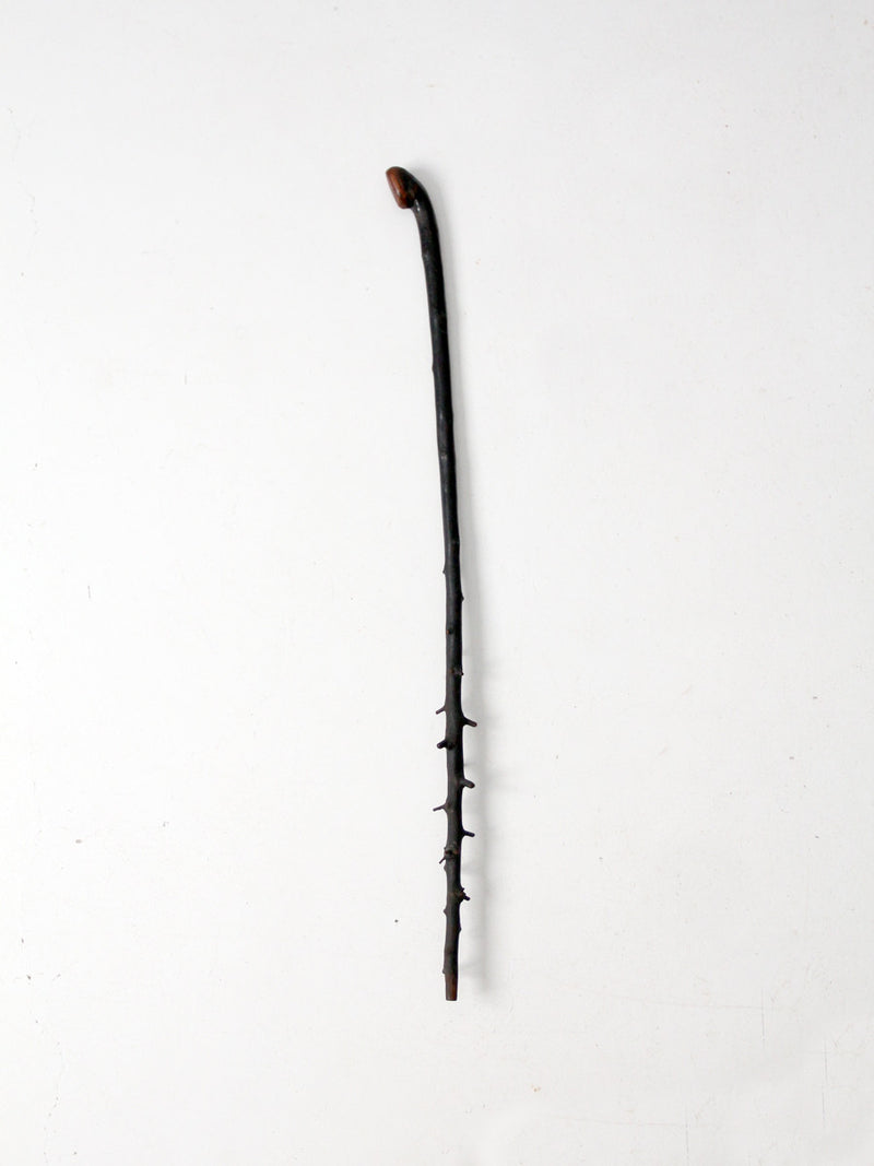antique Adirondack walking stick