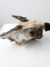 vintage bull skull with artwork