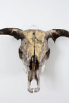 vintage bull skull with artwork