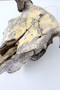 vintage bull skull with artwork