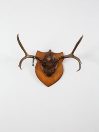 mounted deer antlers with skull circa 1954