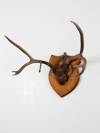 mounted deer antlers with skull circa 1954