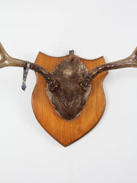 mounted deer antlers with skull circa 1954
