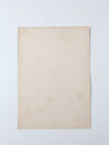 vintage Tim Holt promotional film print