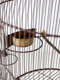 French Victorian style large birdcage