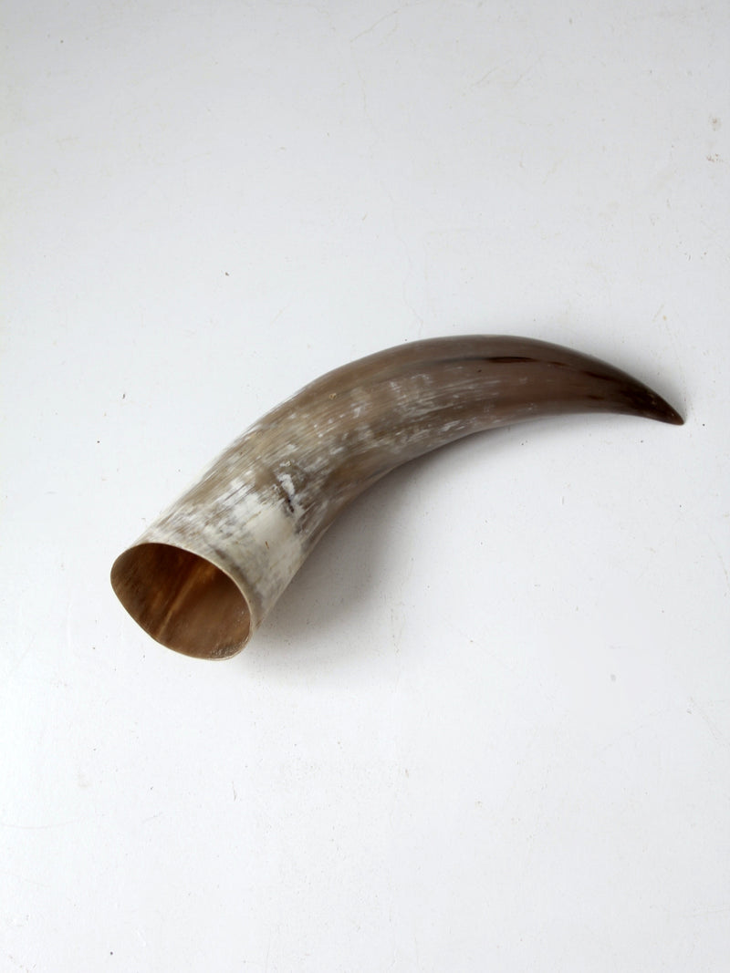 vintage large polished horn