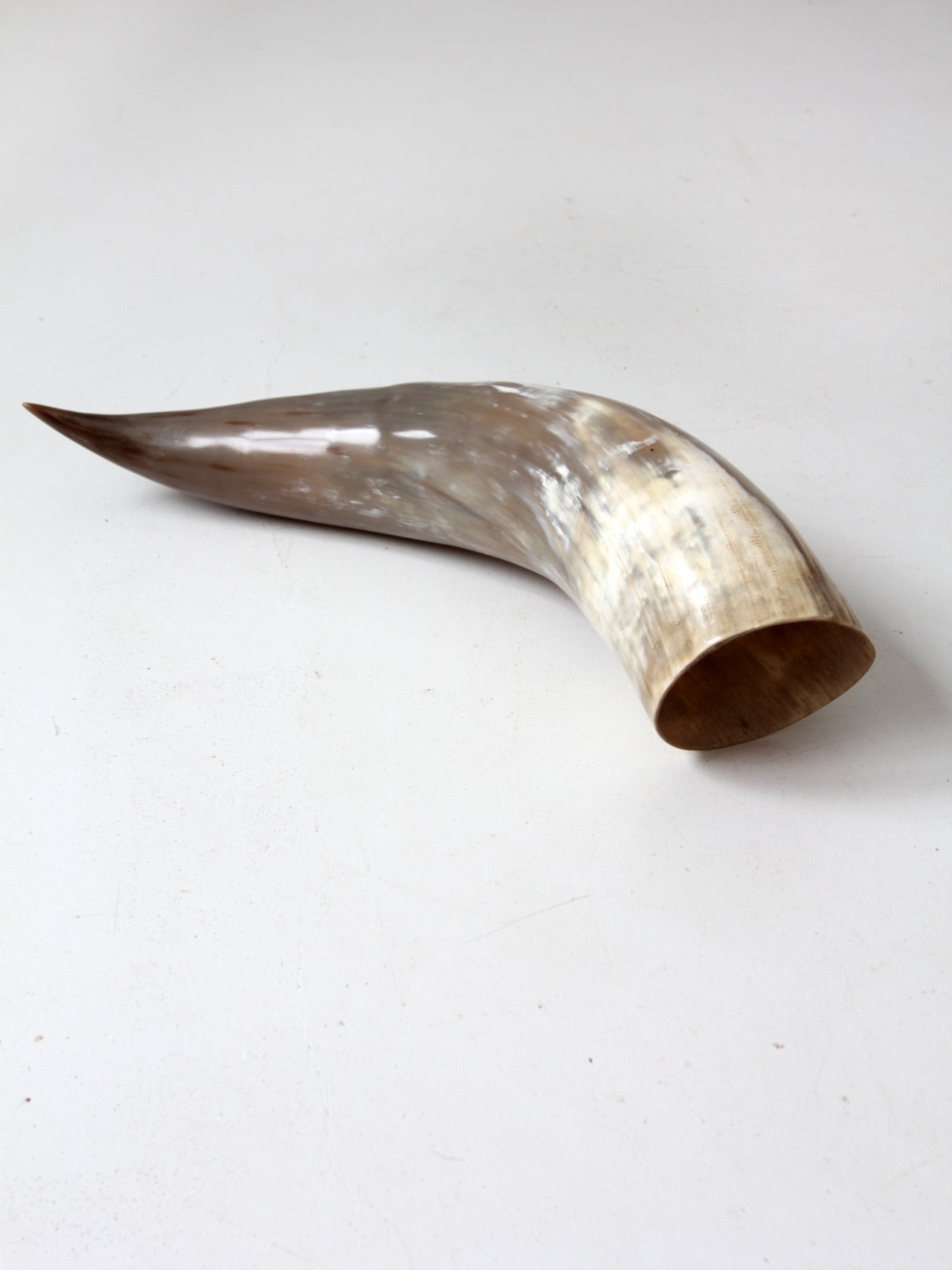 vintage large polished horn
