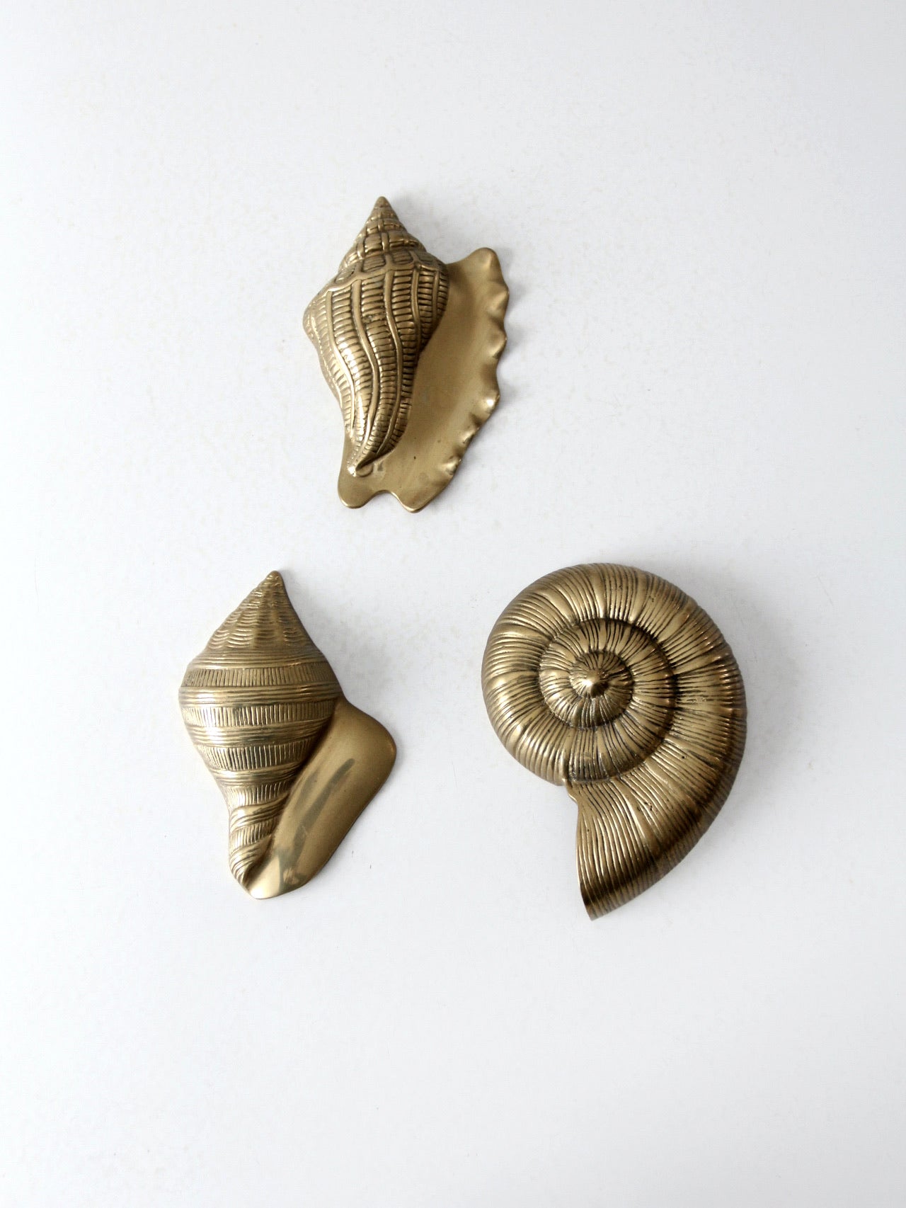 mid century brass seashell wall hangings set of 3 – 86 Vintage