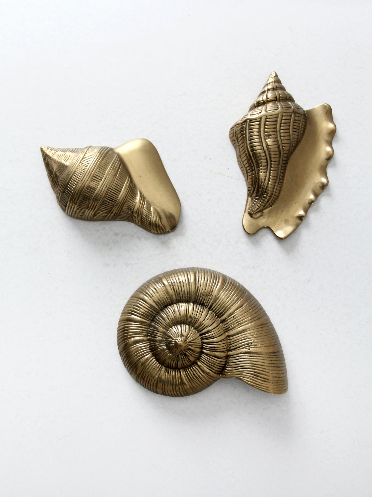 mid century brass seashell wall hangings set of 3 – 86 Vintage