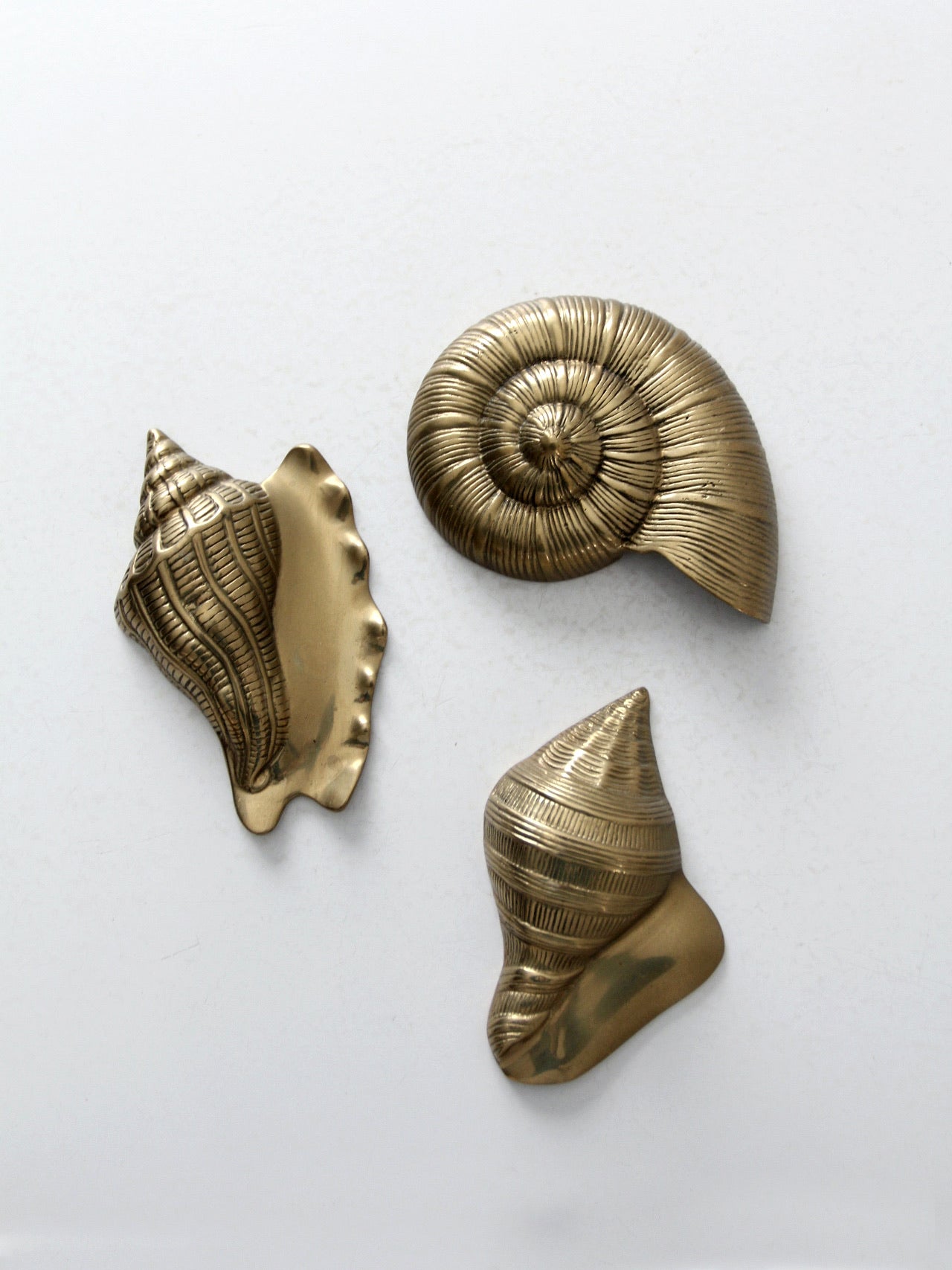 mid century brass seashell wall hangings set of 3 – 86 Vintage