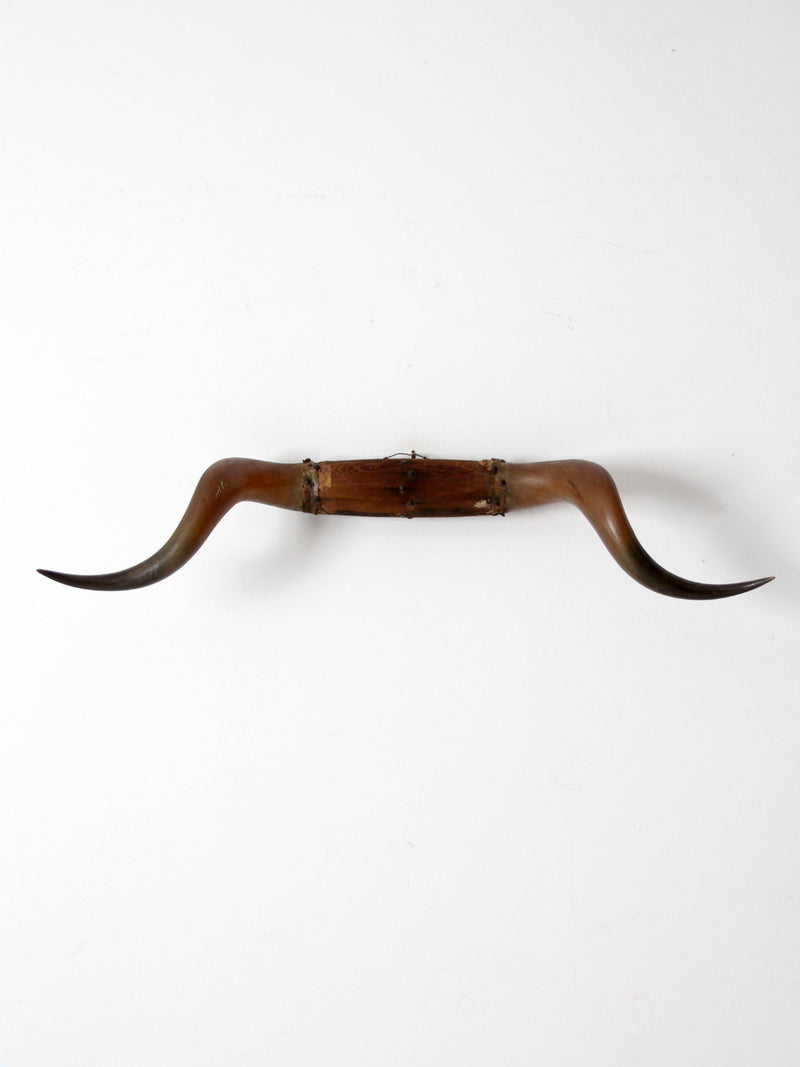 antique bull horns wall mount