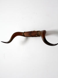 antique bull horns wall mount