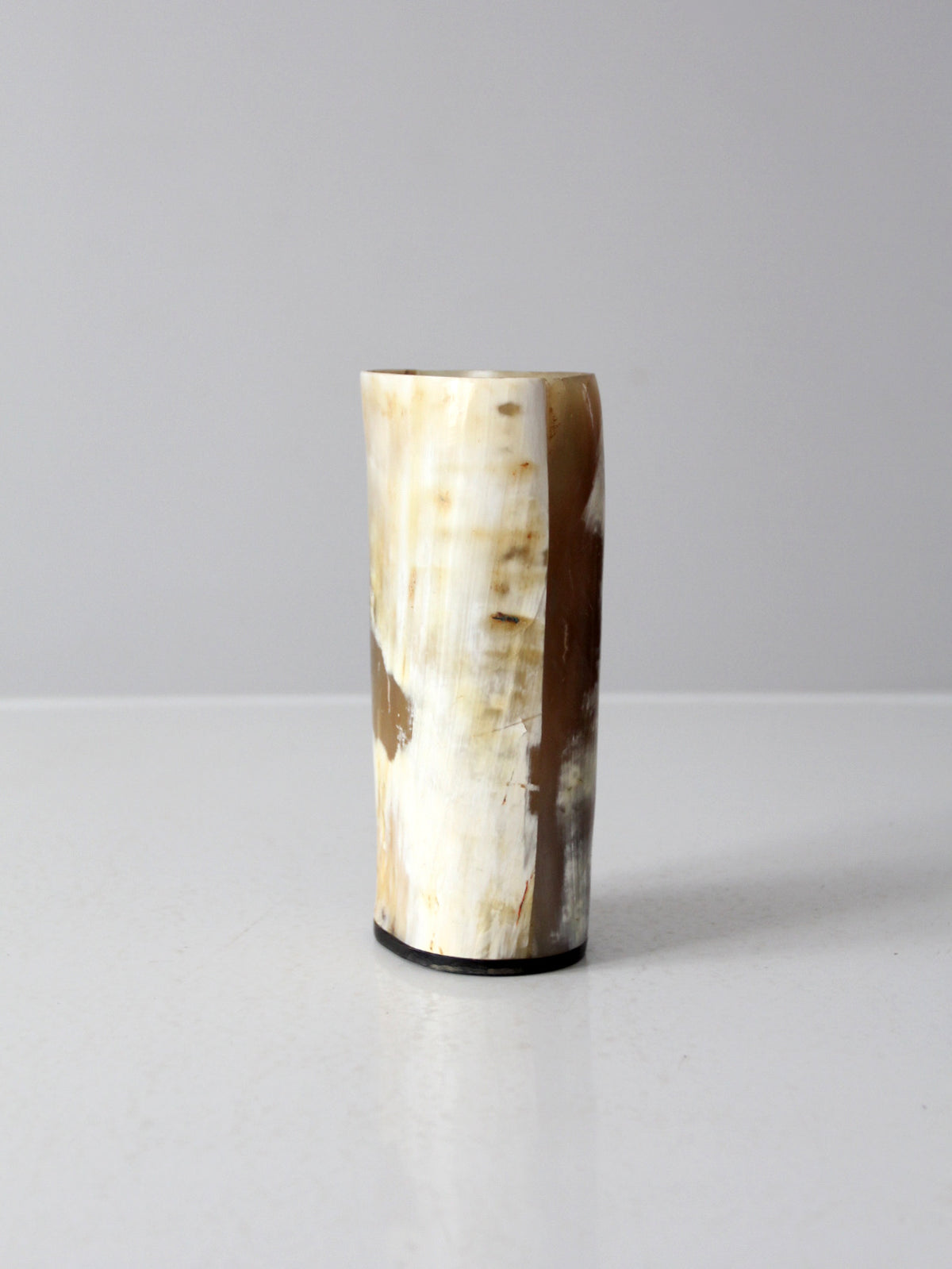 vintage cow horn vase