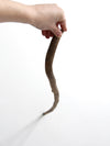 antique wooden cane