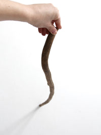 antique wooden cane