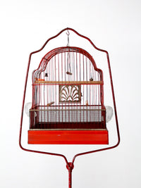 antique bird cage with cast iron stand