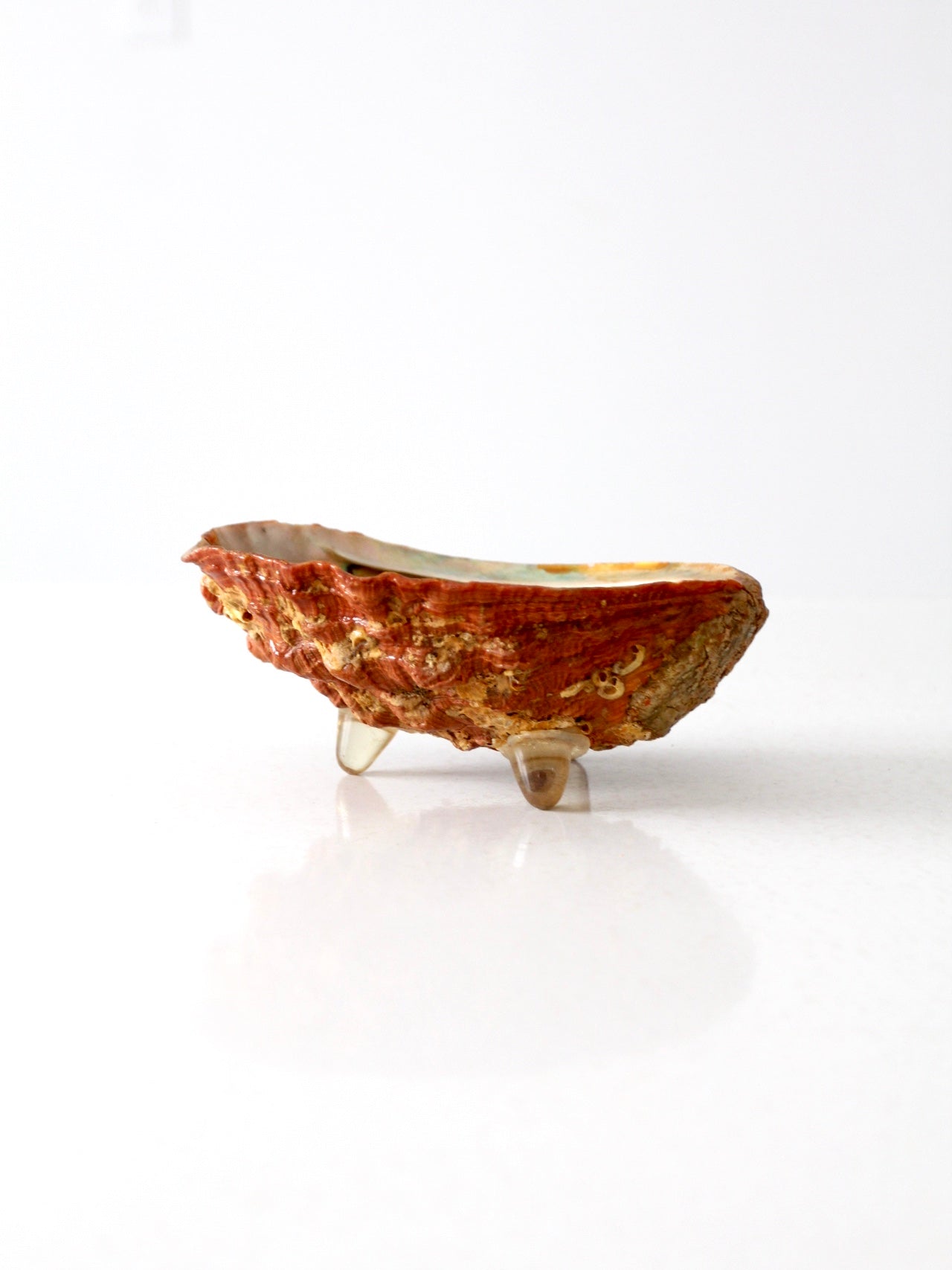 mid-century footed abalone shell bowl