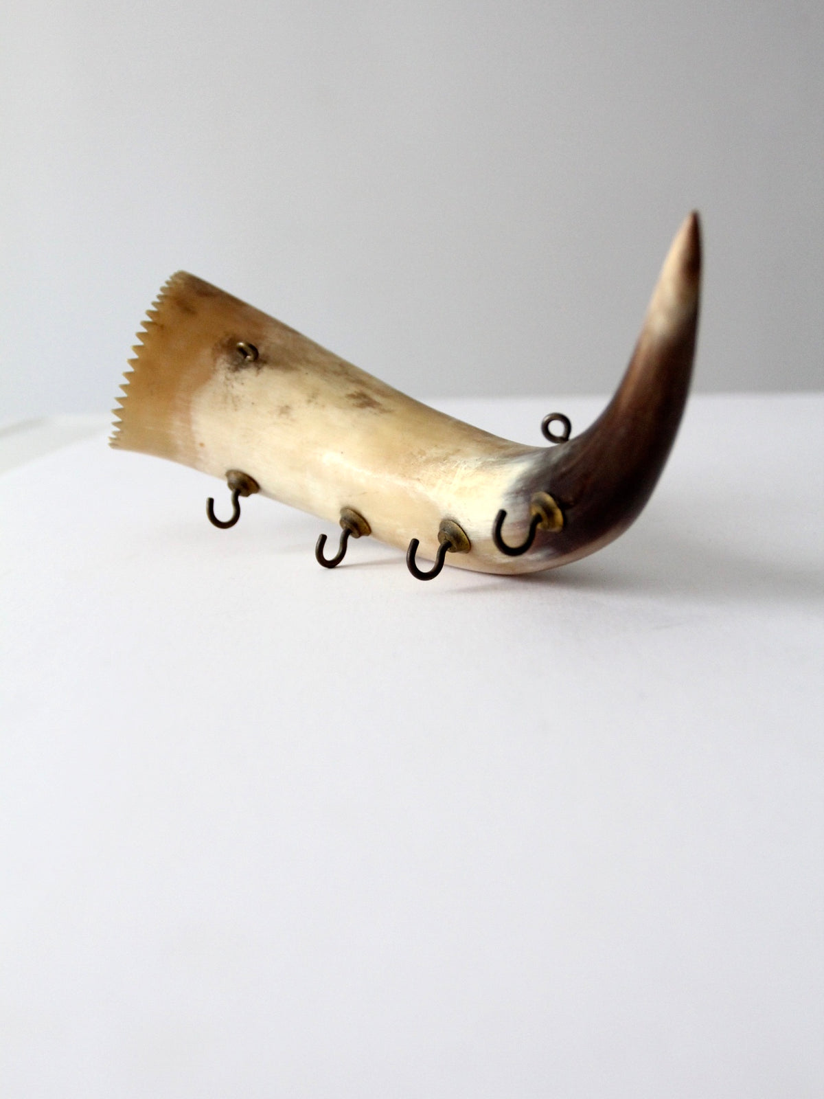 vintage cow horn hook rack