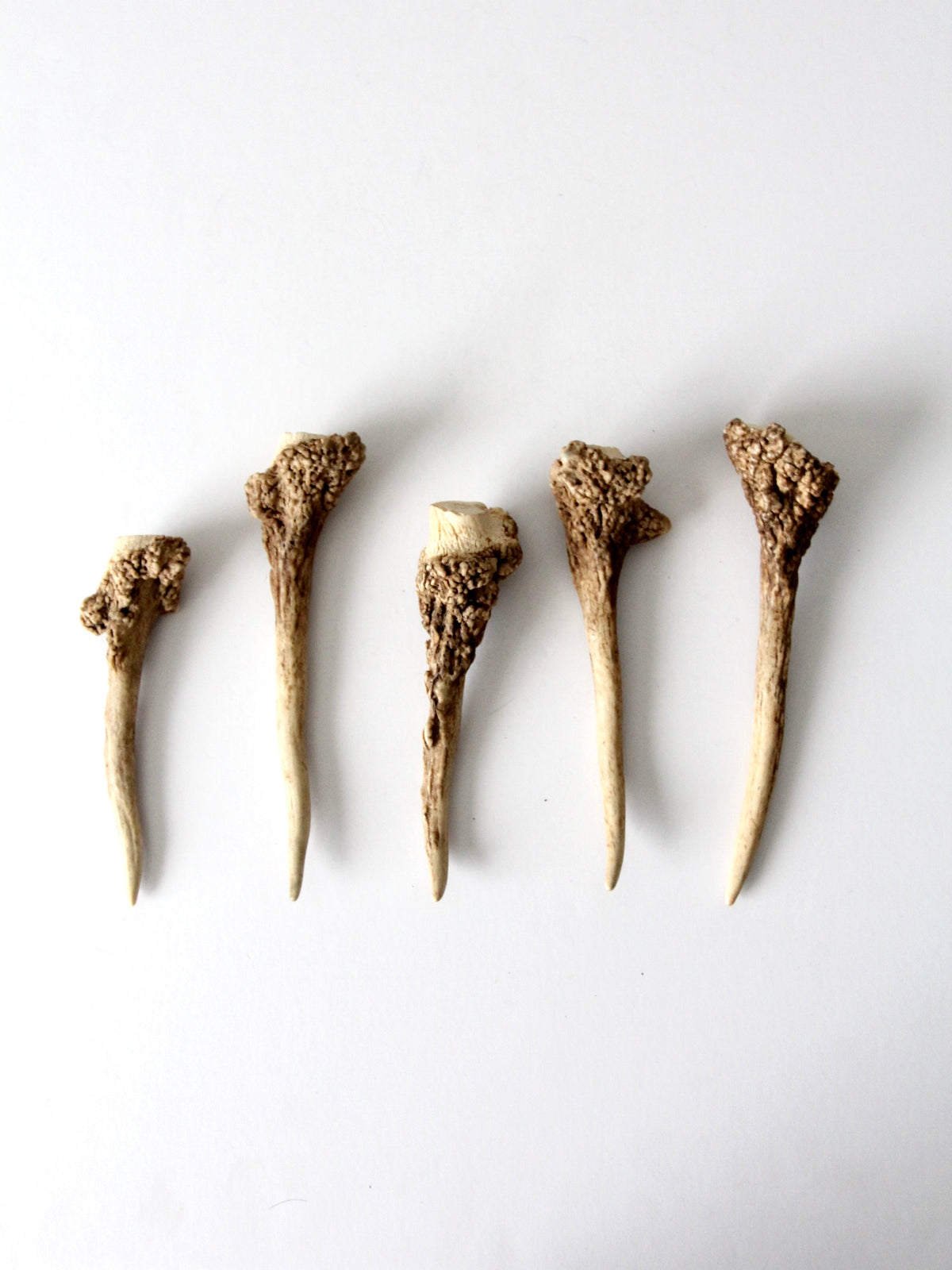 vintage deer antler point collection