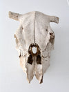 cow skull