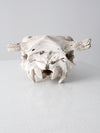 cow skull