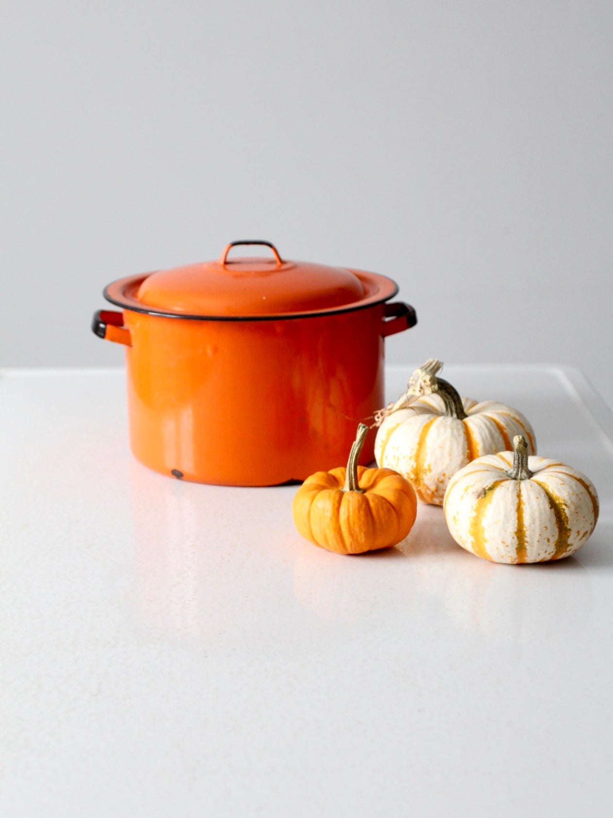 mid-century enamelware pot
